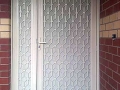 Security Doors Aluminium 1